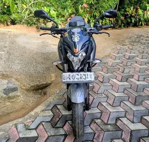 Bajaj Pulsar NS200 BS4 2017
