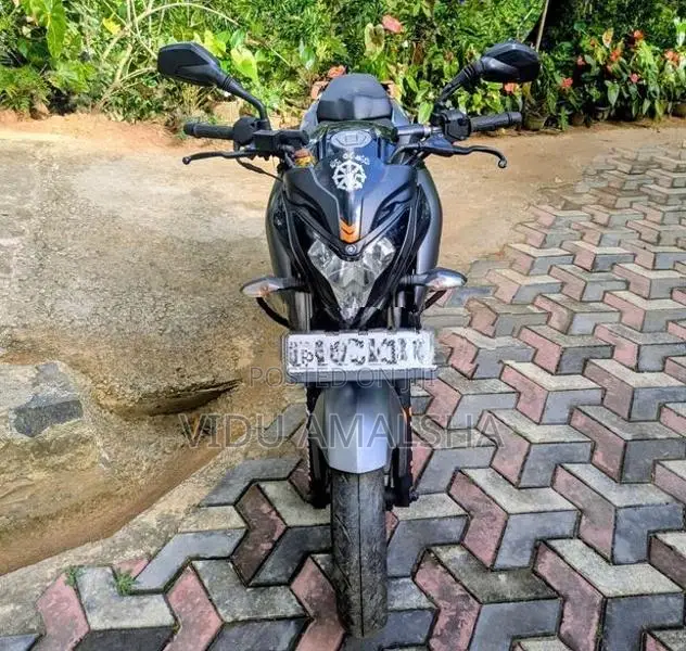 Bajaj Pulsar NS200 BS4 2017