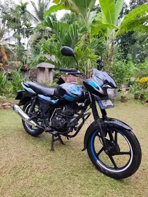 Bajaj Discover DTS SI 2010
