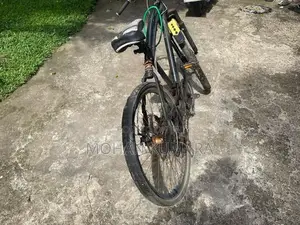 Specialized Japan Footcycle