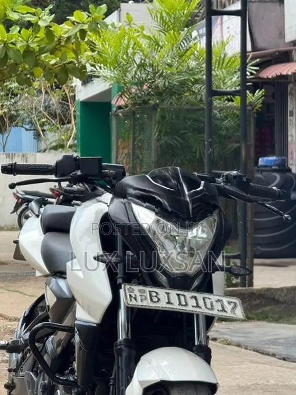 Bajaj Pulsar NS200 2019