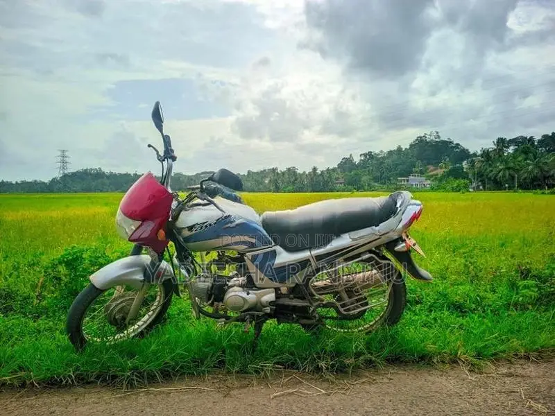 Hero Passion Plus 2005