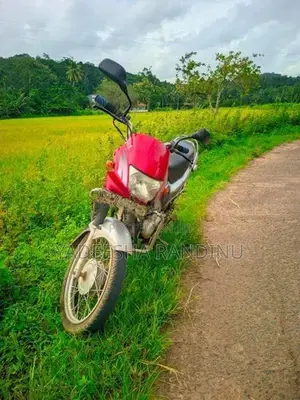 Hero Passion Plus 2005