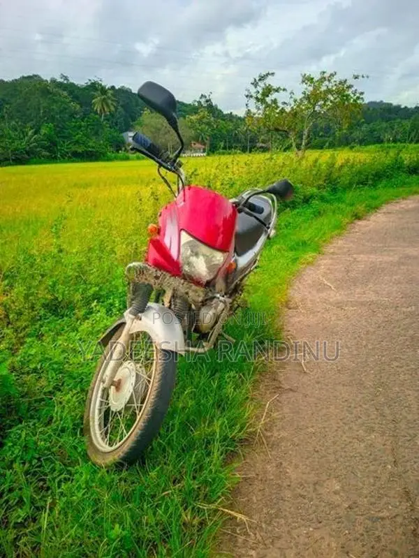 Hero Passion Plus 2005