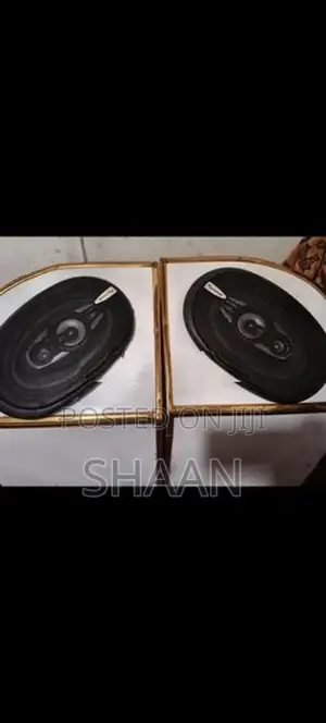 Pyramid 6x9 Vehicle Speakers and Box