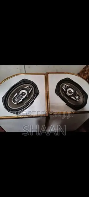 Pyramid 6x9 Vehicle Speakers and Box