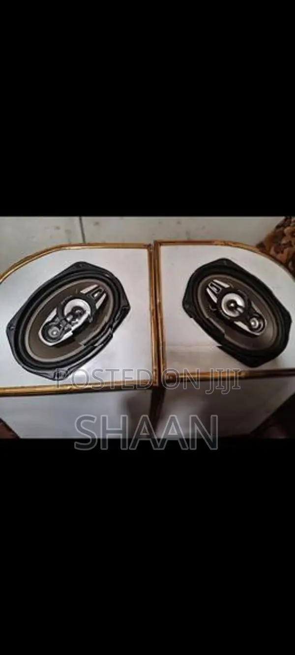 Pyramid 6x9 Vehicle Speakers and Box