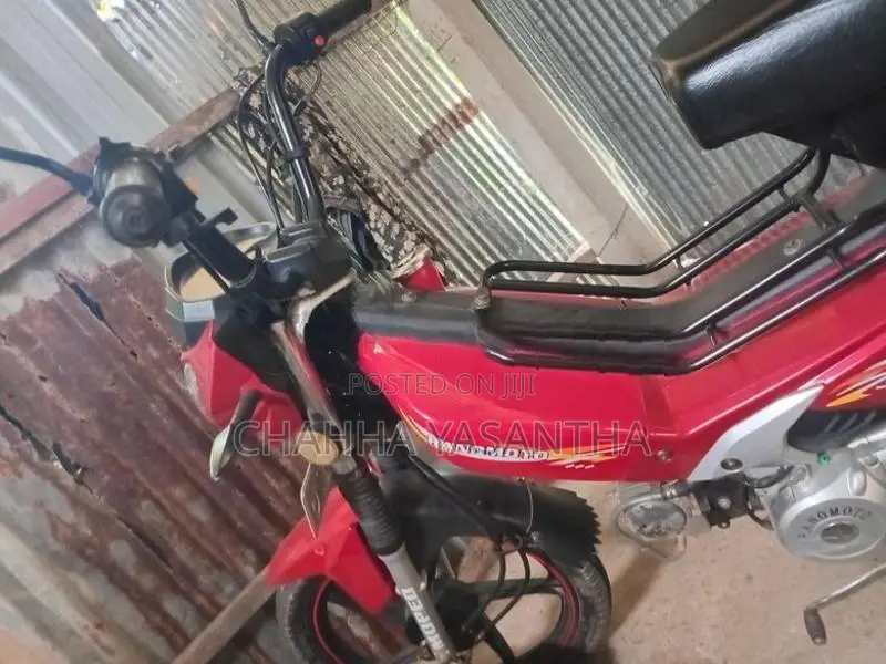 Ranomoto 48 Cc 2023