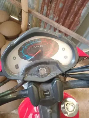 Ranomoto 48 Cc 2023