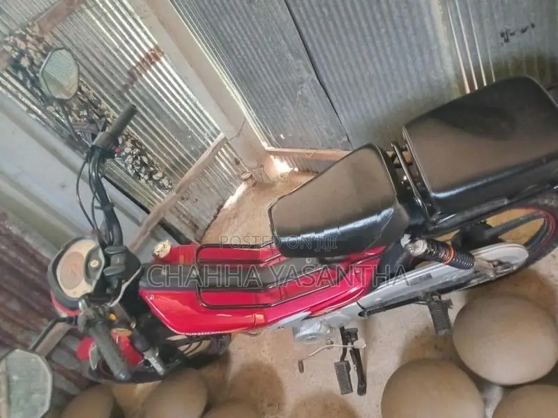 Ranomoto 48 Cc 2023