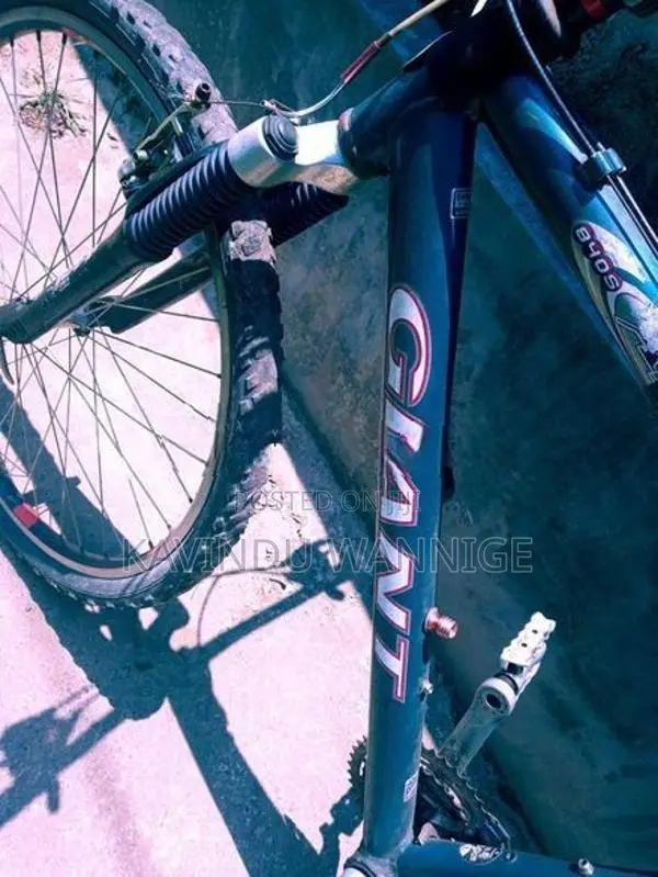 Bicycle