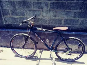 Bicycle