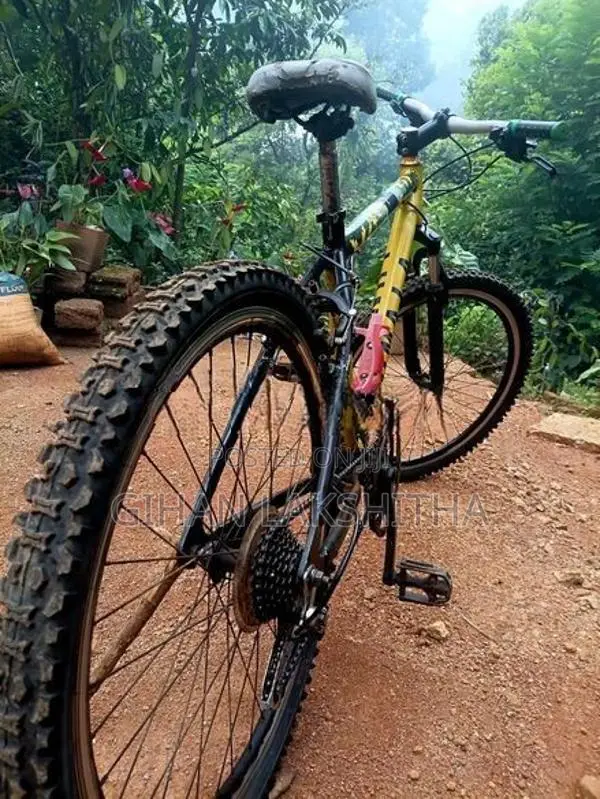 Venom Himalayan MTB Shimano Gears