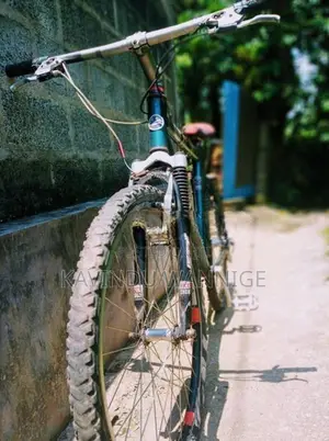 Giant Mountain Bicycle