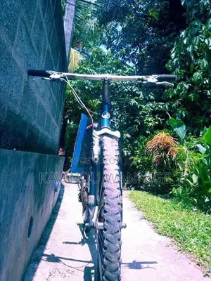 Giant Mountain Bicycle