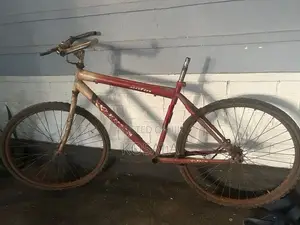 Cenfine Bicycle