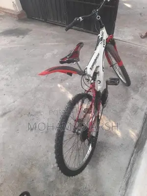 Kamikaze Bicycle