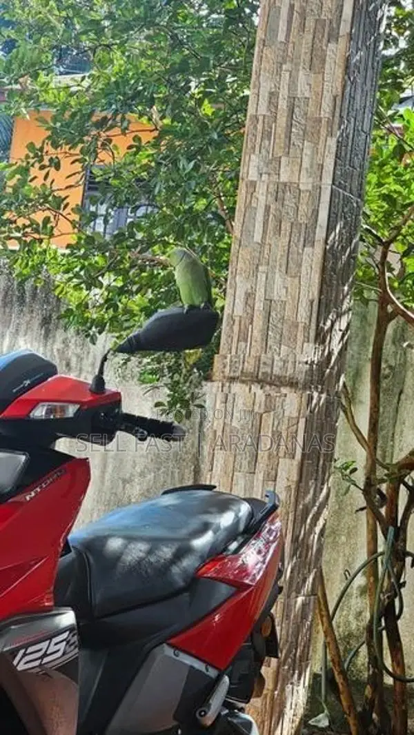 TVS Ntorq 125 2018