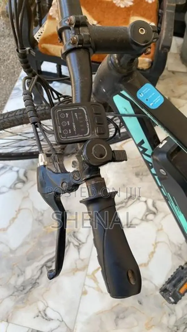 Waltx Spark 5 Electric Bicycle