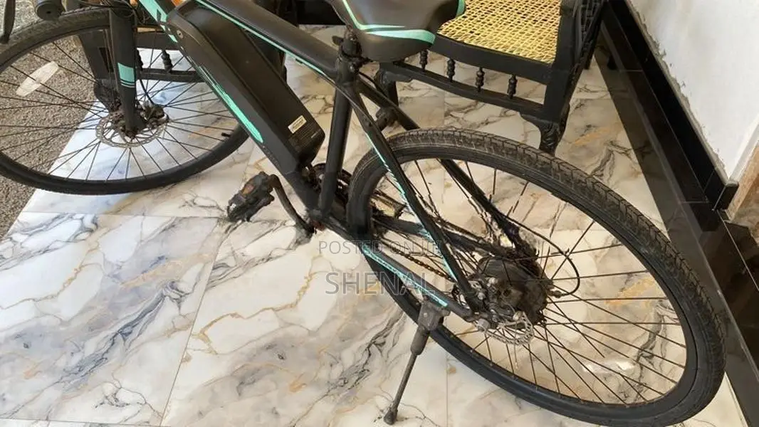 Waltx Spark 5 Electric Bicycle