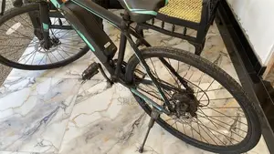 Waltx Spark 5 Electric Bicycle