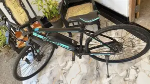 Waltx Spark 5 Electric Bicycle