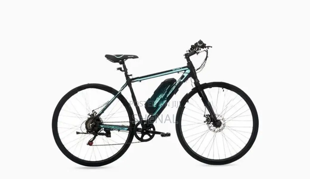 Waltx Spark 5 Electric Bicycle