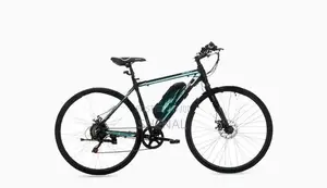Waltx Spark 5 Electric Bicycle