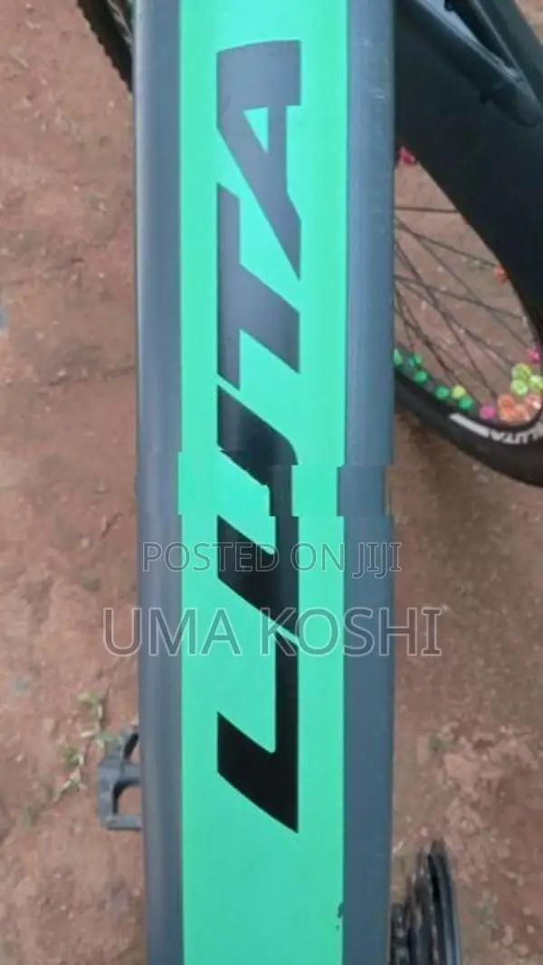 Luta Mountain Bicycle