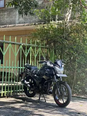 TVS Raider 125 2024