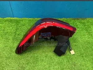 RAIZE Taillight