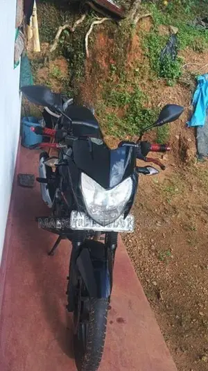 Bajaj Pulsar 135 2013