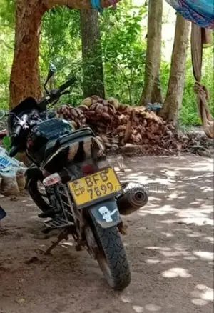 Bajaj Pulsar 150 2019