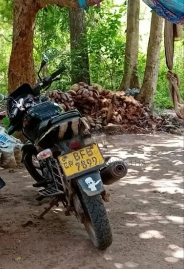Bajaj Pulsar 150 2019
