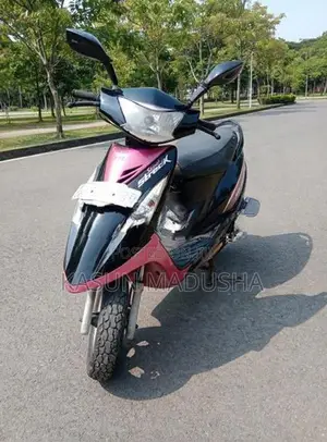 TVS Streak 2012