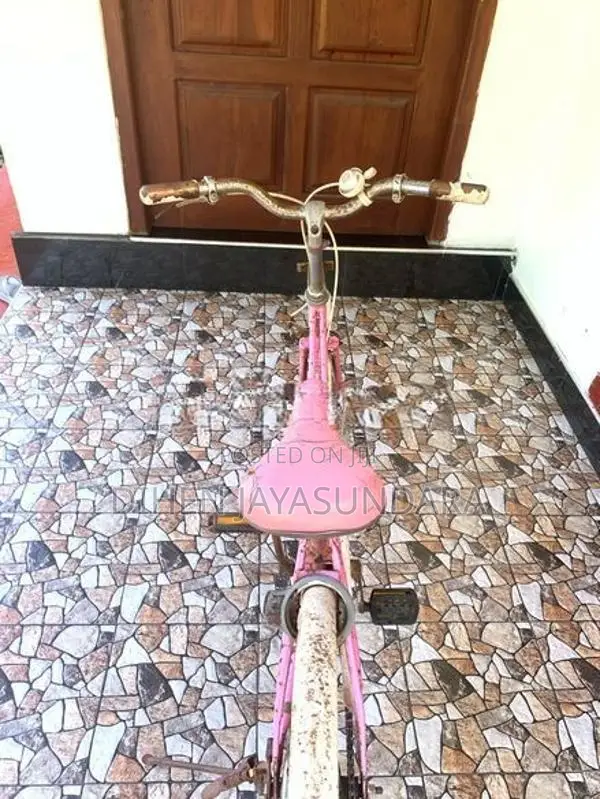 Japanese Bicycle