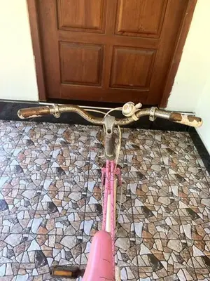 Japanese Bicycle