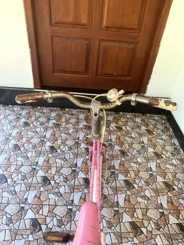 Japanese Bicycle