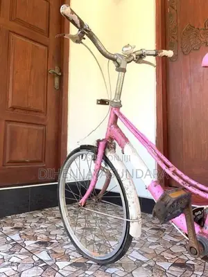Japanese Bicycle