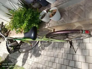 Shimano Maruishi