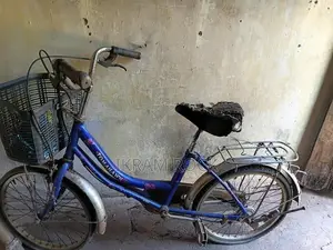 Atlas Ladies Small Bicycle