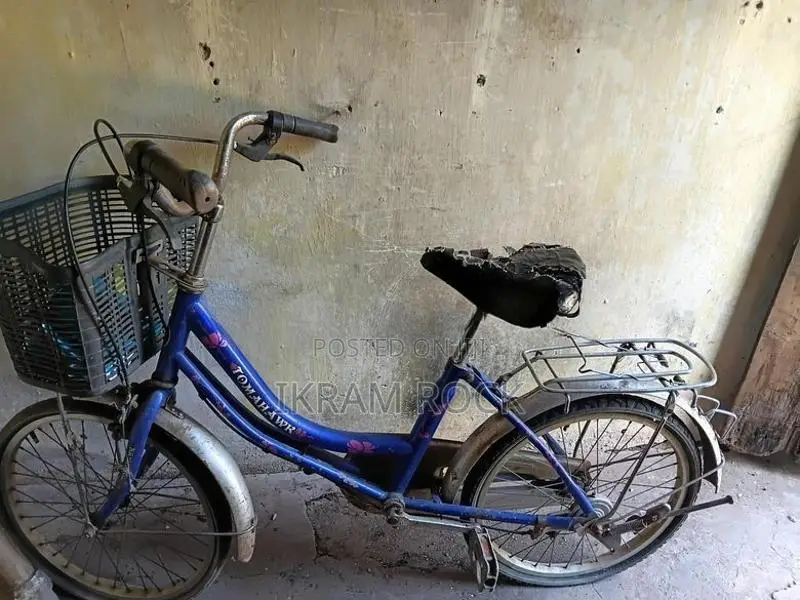 Atlas Ladies Small Bicycle