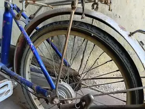 Atlas Ladies Small Bicycle