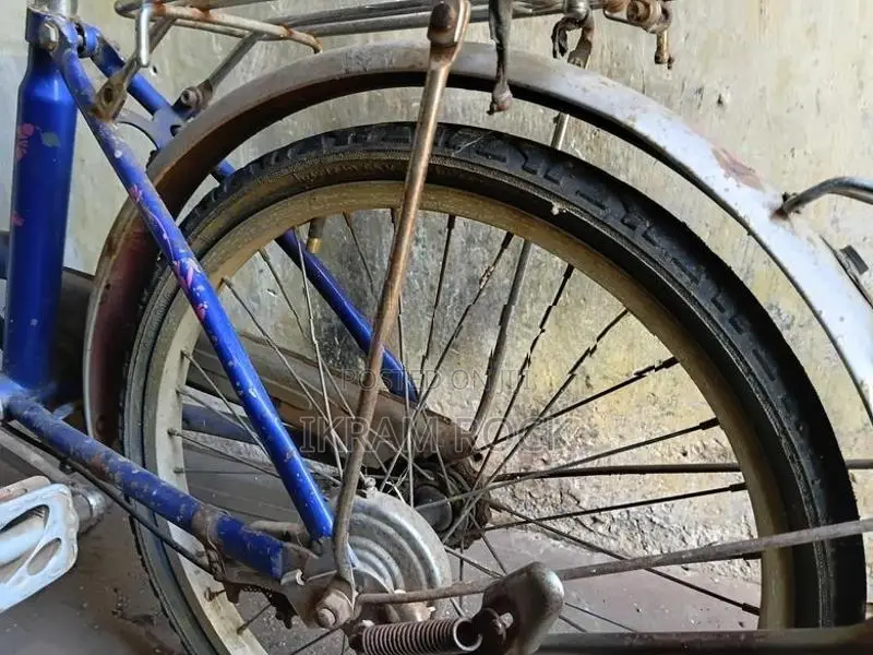 Atlas Ladies Small Bicycle