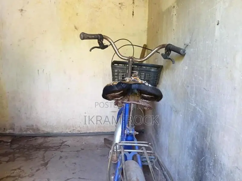 Atlas Ladies Small Bicycle