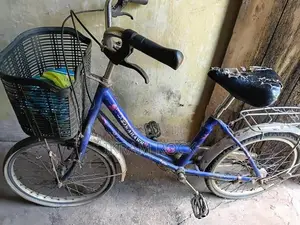 Atlas Ladies Small Bicycle