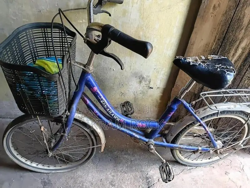 Atlas Ladies Small Bicycle