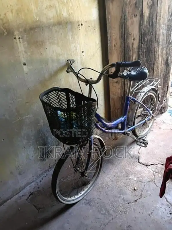 Atlas Ladies Small Bicycle