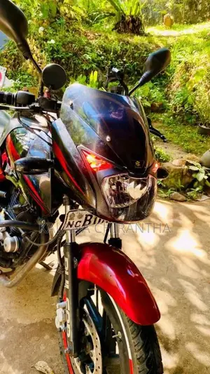 Bajaj Pulsar 150 2016 Motorbike (Used)
