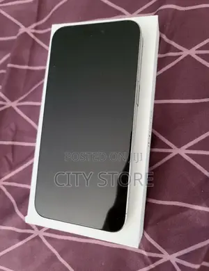 Apple iPhone 15 Pro Max 512 GB Silver